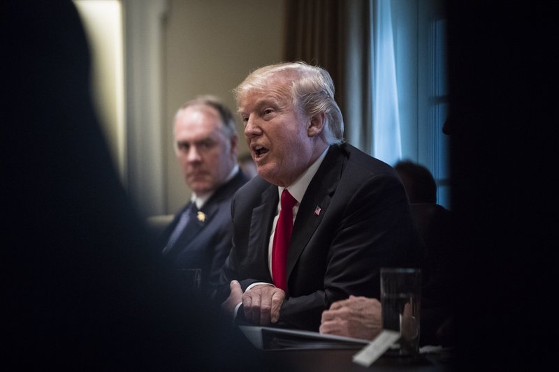 President Donald Trump speaks during a cabinet meeting in the Cabinet Room at the White House in Washington on Wednesday. MUST CREDIT: Washington Post photo by Jabin Botsford