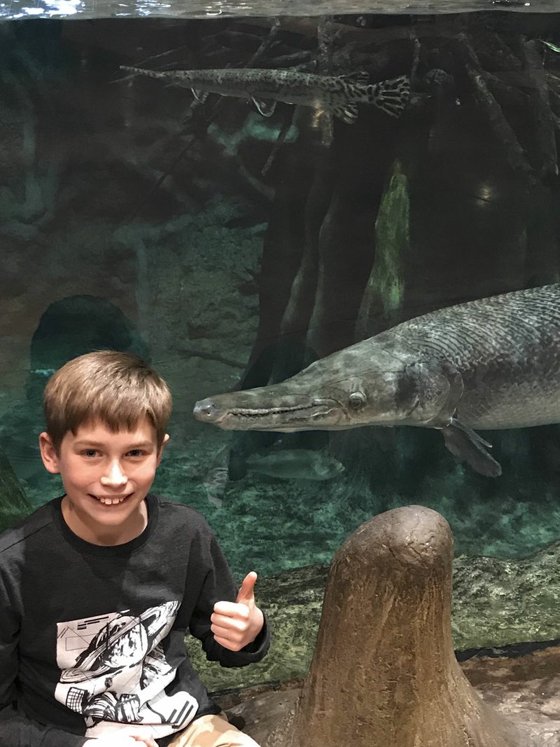 At an aquarium in Springfield, Mo., Henry Foster points to an alligator gar, a species he’d like to see exalted in Arkansas. 