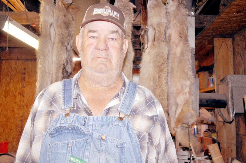 RACHEL DICKERSON/MCDONALD COUNTY PRESS Loren Garren of Goodman is pictured in front of some coyote furs. He has been buying furs for 52 years.