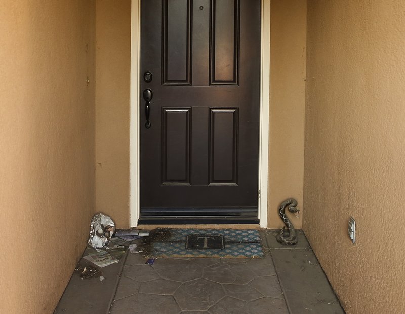 Trash and a fake rattle snake sculpture are seen on the front door of a home where police arrested a couple on Sunday accused of holding 13 children captive in Perris, Calif., Thursday, Jan. 18, 2018. The parents of 13 children and young adults have pleaded not guilty in a California court to numerous charges that they tortured and abused the siblings for years. David and Louise Turpin were each ordered held on $12 million bail after entering their pleas Thursday and were scheduled to return to court on Feb. 23. (AP Photo/Damian Dovarganes)