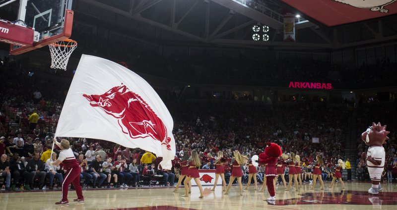 Arkansas Razorbacks cheerleaders cheer during a basketball game, Saturday, January 20, 2018 at Bud Walton Arena in Fayetteville.