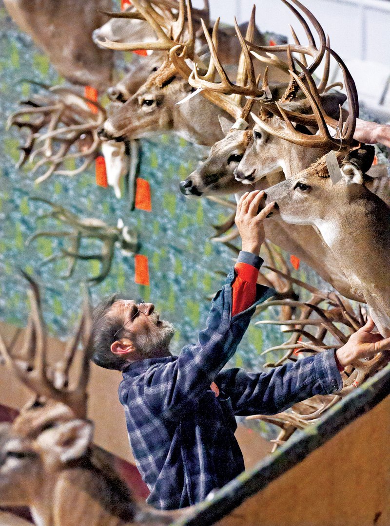 Deer — and a few other creatures — will take over the Arkansas State Fairgrounds for the annual Arkansas Big Buck Classic this weekend. 