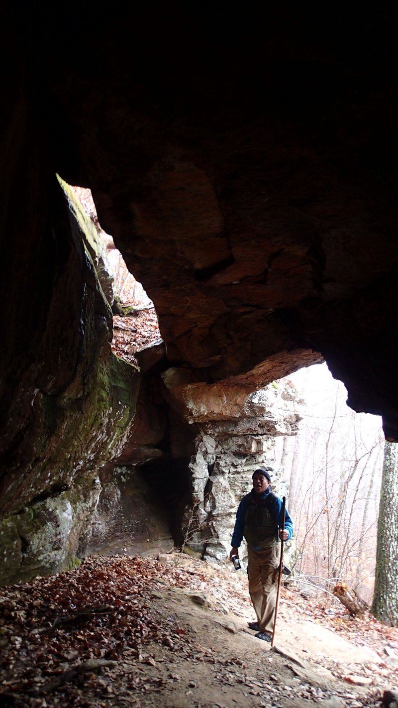 Crevice caves appear frequently along a bluff line at Alum Cove Natural Bridge scenic area. Keyhole caves that go back maybe 10 feet are also plentiful.