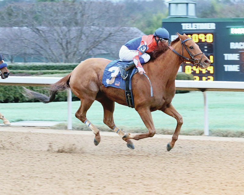 Submitted photo WILBO BAGS IT: Jockey David Cabrera rides Wilbo (3) to victory in the $125,000 King Cotton Stakes Saturday at Oaklawn Park to give trainer Chris Hartman a first-place finish as four consecutive second-place finishes from 2013-2016.