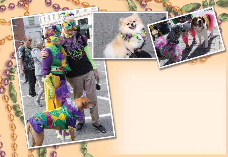 Arkansas Democrat-Gazette Barkus on Main Mardi Gras pet parade photo illustration.
