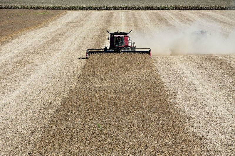 A combine harvests soybeans near Princeton, Ill., in September. China, which has begun an anti-dumping investigation into U.S. sorghum imports, is also considering trade restrictions on imports of U.S. soybeans. 