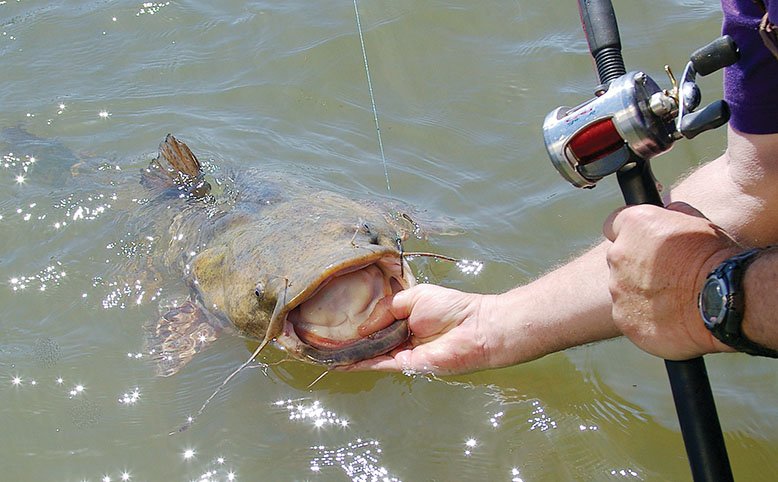 When Keith Sutton’s friend Robby foul-hooked a friend’s fishing line, he reeled in not only his buddy’s rod and reel, but a catfish as well. That was the start of an infamous practical joke.