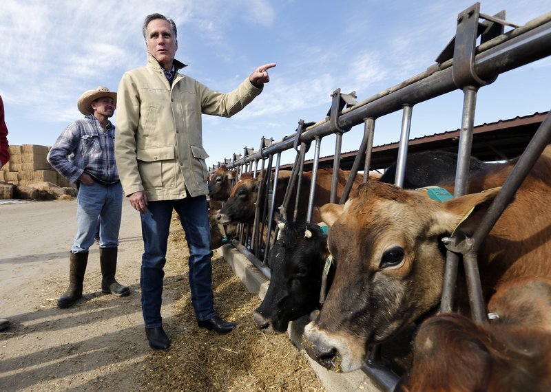 Former Republican presidential candidate Mitt Romney stands near cows during a tour of Gibson's Green Acres Dairy Friday, Feb. 16, 2018, in Ogden, Utah. The 2012 Republican presidential candidate plans to bid for the seat being vacated by retiring seven-term Utah Sen. Orrin Hatch. (AP Photo/Rick Bowmer)