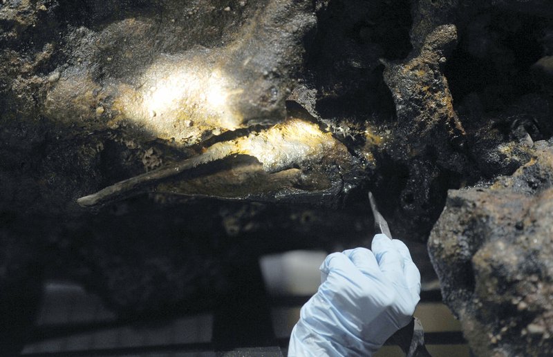 In this Aug. 14, 2017 photo, Marie Kesten Zahn, an archaeologist and education coordinator at the Whydah Pirate Museum in West Yarmouth, Mass., probes the concretion surrounding a leg bone that was salvaged from the Whydah shipwreck off the coast of Wellfleet on Cape Cod. Researchers are working to determine if the remains belong to Samuel "Black Sam" Bellamy, the captain of the ship. 