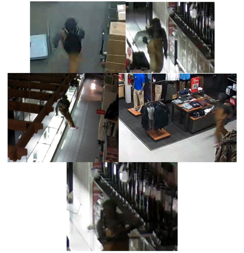 Police released these surveillance images showing a man suspected of breaking into the Academy Sports in west Little Rock and stealing at least one gun.