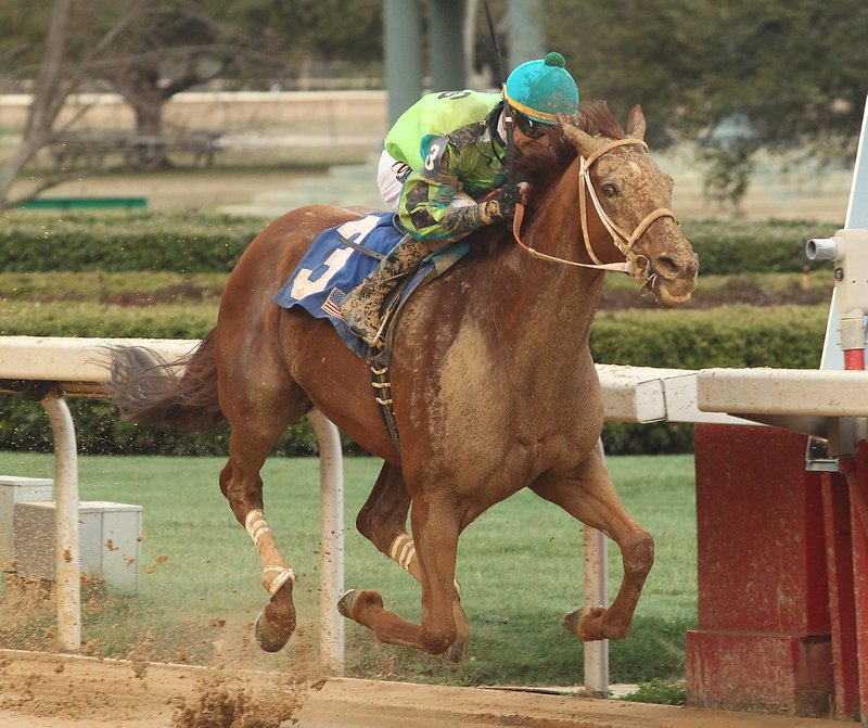 The Sentinel-Record/Richard Rasmussen STRETCH WIN: Jockey Corey Lanerie guides Hawaakom across the wire to win the Grade 3 $500,000 Grade Razorback Handicap at Oaklawn Park Monday.