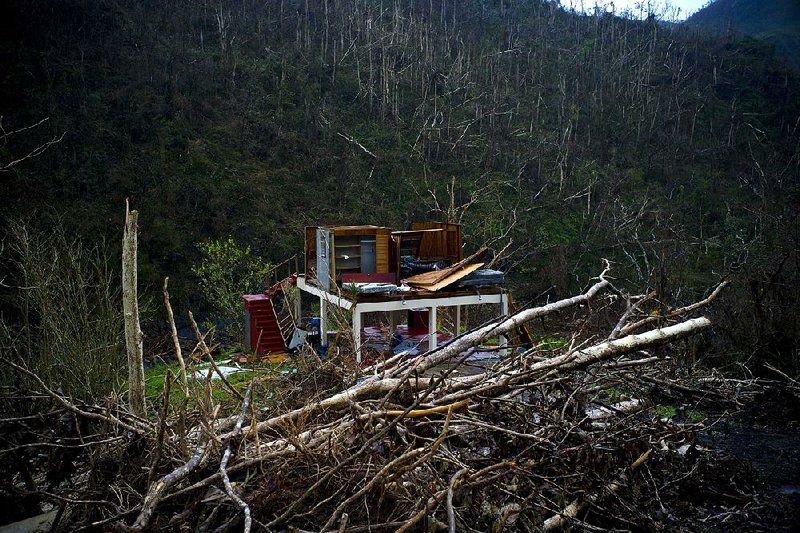 A damaged house sits among broken trees days in the San Lorenzo neighborhood of Morovis on Sept. 30, a little more than a week after Hurricane Maria struck Puerto Rico.