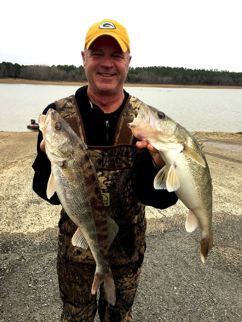 Chris Larson of Roland caught these walleyes during a recent trip to the upper portion of Lake Ouachita 