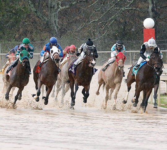 Submitted photo SUPERB IN SLOP: The field was tight around the final turn in Saturday's $100,000 Downdustytheroad Breeders' at Oaklawn Park, but 4-year-old Ministry, with Tommy Pompell aboard, shook loose from the pack and outran Ms Fifty First St. Photo by Coady Photography.