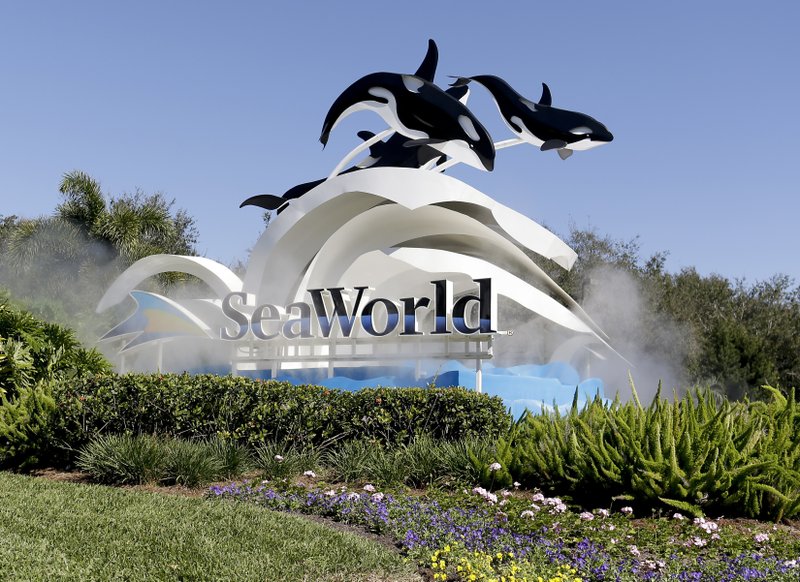 FILE- In this Jan. 31, 2017, file photo, the entrance to Sea World is seen, in Orlando, Fla. (AP Photo/John Raoux, File)
