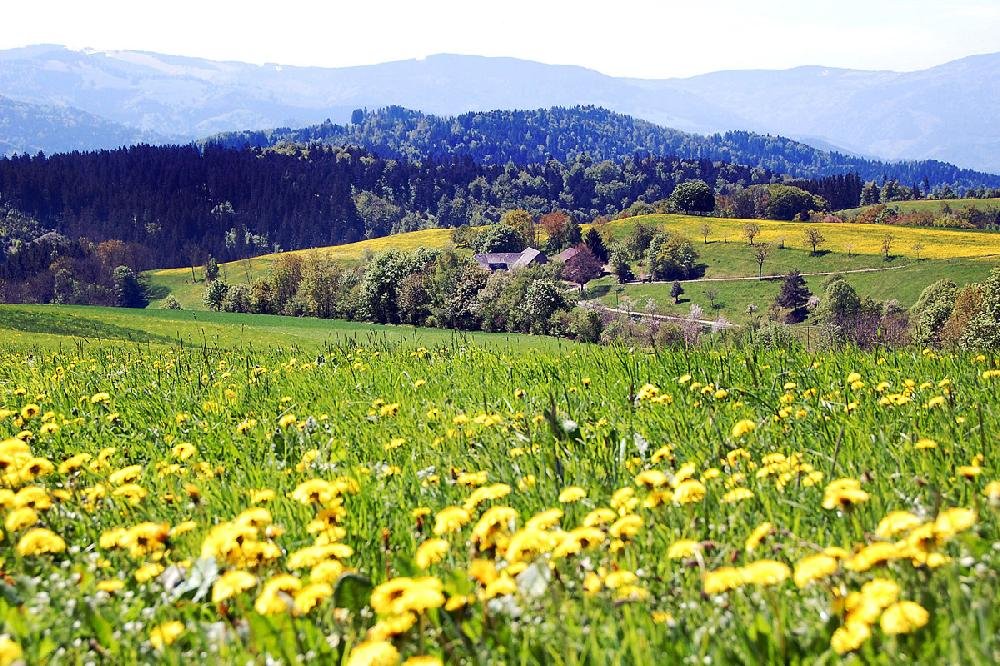 Germany's Black Forest full of scenery, activities