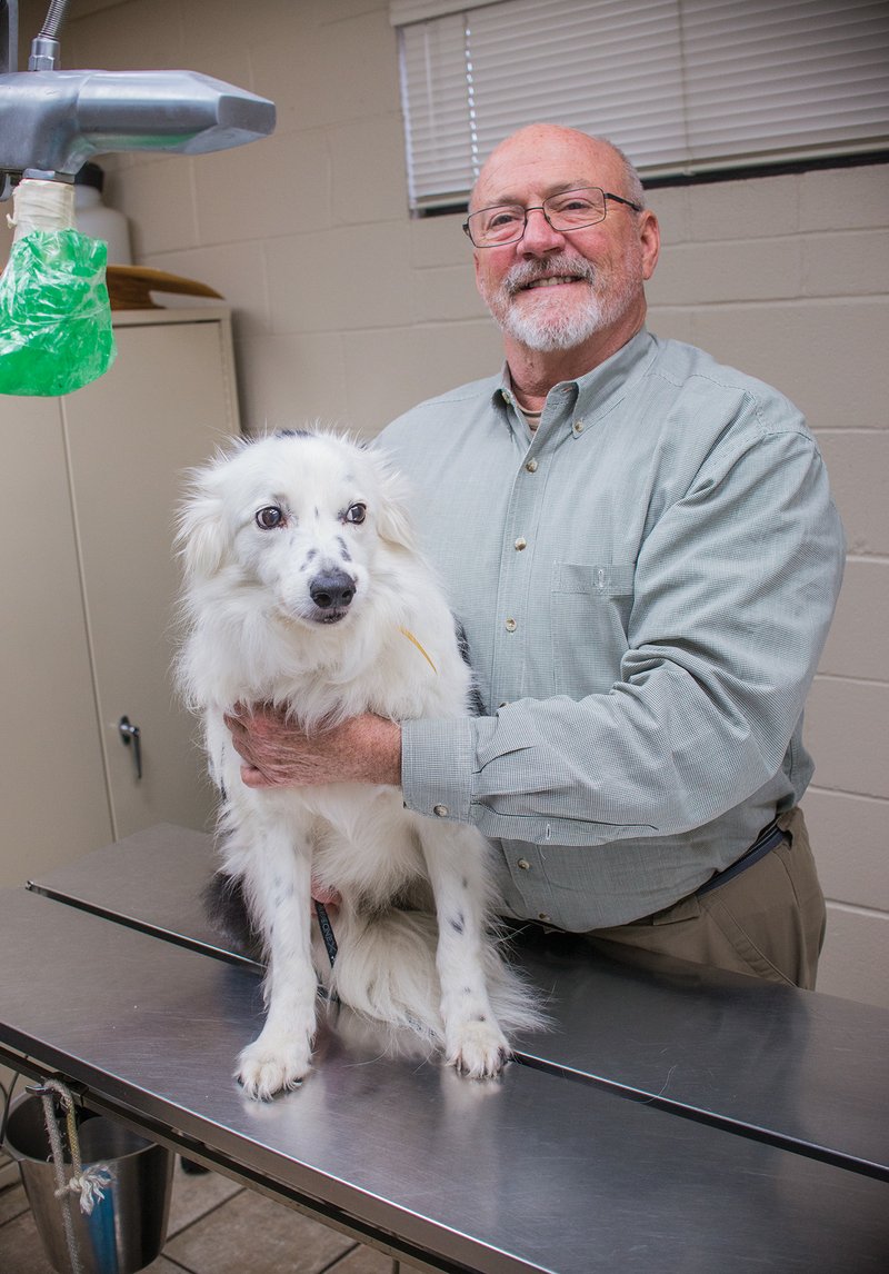 Dr. David Oates of Russellville was named 2017 Veterinarian of the Year by the Arkansas Veterinary Medical Association. Oates established the Russellville Animal Clinic in 1986. He was joined later by partner Dr. Heath Stump. Oates, whose father was a longtime Pottsville pharmacist, said he loved animals and medicine. “When I went to college at Arkansas Tech, I decided to go to vet school because it was a mix,” he said.