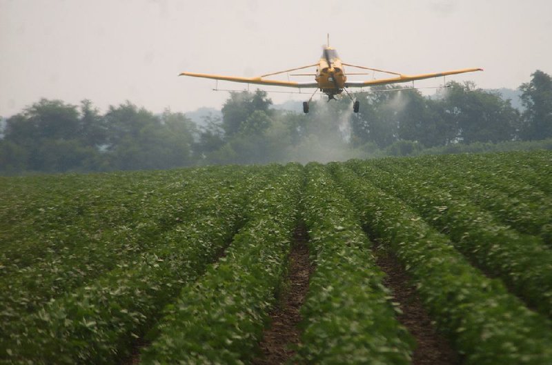 A crop-duster sprays a cotton field near Blytheville with malathion to kill boll weevils in this 2005 photo. The boll weevil hasn’t been found in Arkansas cotton since 2006. 