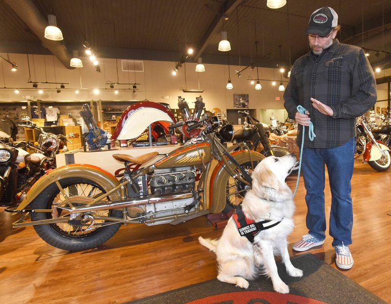 FILE PHOTO/FLIP PUTTHOFF Justin Vandevort, manager of Heritage Indian Motorcycle of Northwest Arkansas in Rogers, plays with Harry, a service dog in training to assist area veterans. Vandevort trains dogs for Soldier On Service Dogs in Fayetteville and brings Harry to the shop each day to get the dog used to being around people and learn commands. Harry will go on to more advanced training before being adopted by an area veteran. "Hero Tales Hangar Party: Red, White and Blue Jeans" on Saturday will benefit Soldier On Service Dogs.