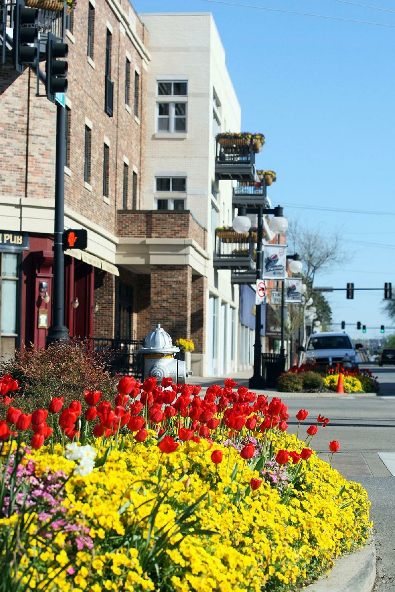 A flower bed, including red tulips, blooms along the 200 block of Main Street in North Little Rock.