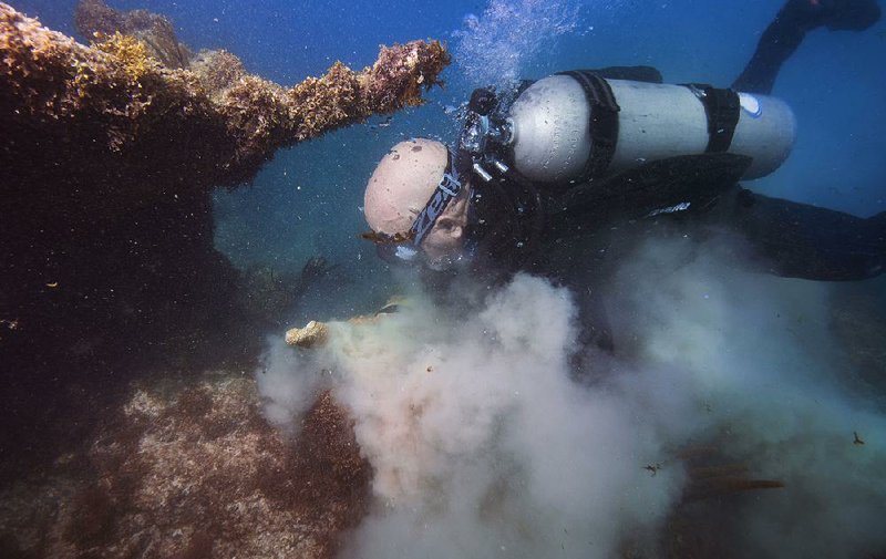 Diver Angelo Fiore replants corals off the coast of Fajardo, Puerto Rico, that were ripped off during Hurricane Maria as part of a nearly $1.5 million coral-reef restoration effort largely funded by the federal government.