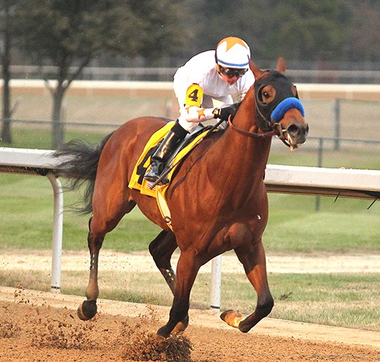 The Sentinel-Record/File photo LOSS OF A WINNER: Lake Hamilton High School graduate Drayden Van Dyke guides Mourinho across the wire in the $147,000 Smarty Jones Stakes Jan. 15 at Oaklawn Park. Mourinho was under consideration for Saturday's Grade 2 $900,000 Rebel Stakes at Oaklawn before sustaining a broken sesamoid bone Monday morning in California.