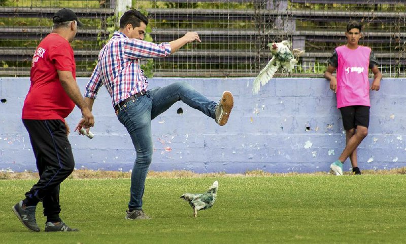 Gaston Alegari, a director with the soccer club Fenix, kicks a hen off a soccer pitch in Montevideo, Uruguay, on
Sunday. Fenix was penalized by the Uruguay soccer association because of the action.