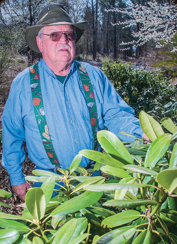 Frank Russenberger of Russellville is the 2017 Pope County Master Gardener of the Year. He volunteered more than 200 hours of service last year to Master Gardener projects. He raises a variety of plants in his own yard, including rhododendron like the one shown in this photograph.