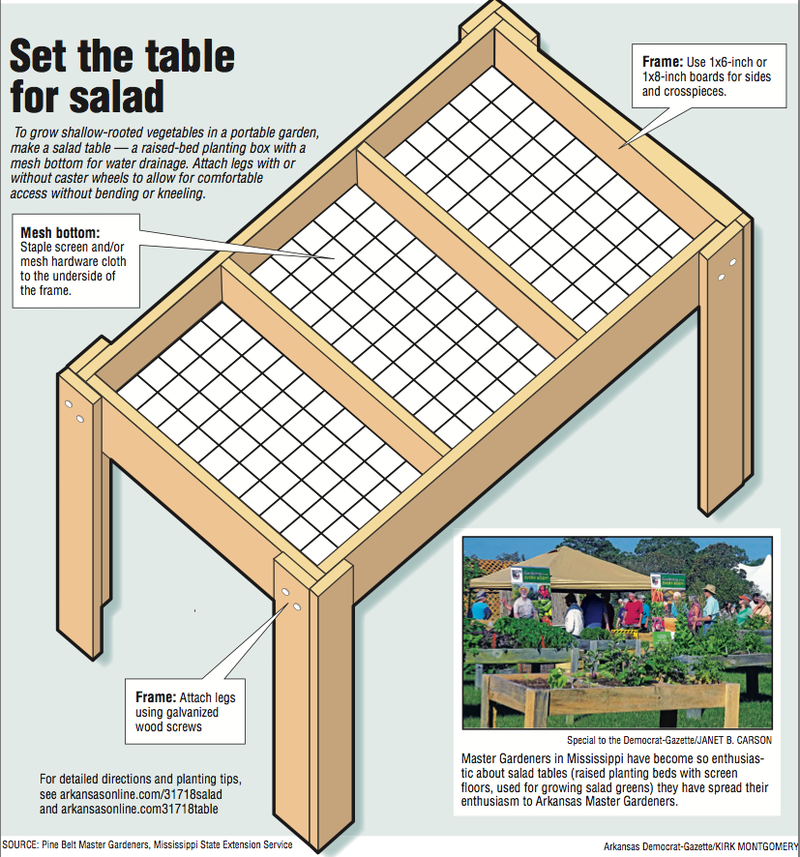 Arkansas Democrat-Gazette salad table illustration. 