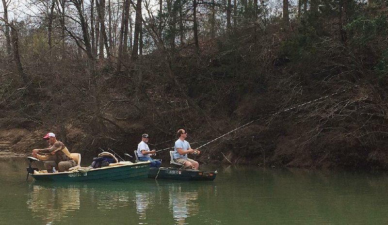 Anglers were out in force March 10 to catch stripers and white bass on the Ouachita River.
