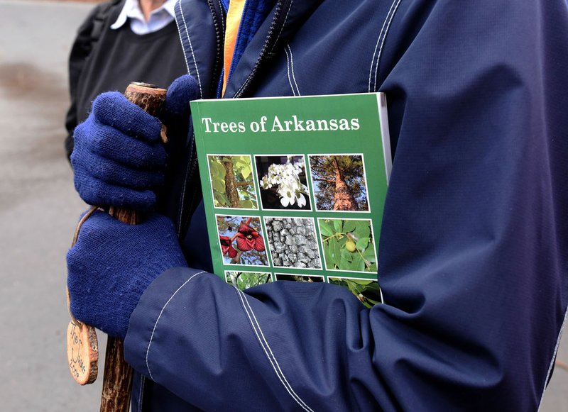 Trees of Arkansas field guide, published by the Arkansas Forestry Commission, is a great aid in identifying trees during any season, said master naturalists Cris and Eleanor Jones.