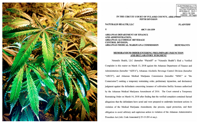 A file photo of marijuana is shown with a screenshot of the first page of Judge Wendell Griffen's order that placed an injunction on the permitting of Arkansas' first five cannabis growers.