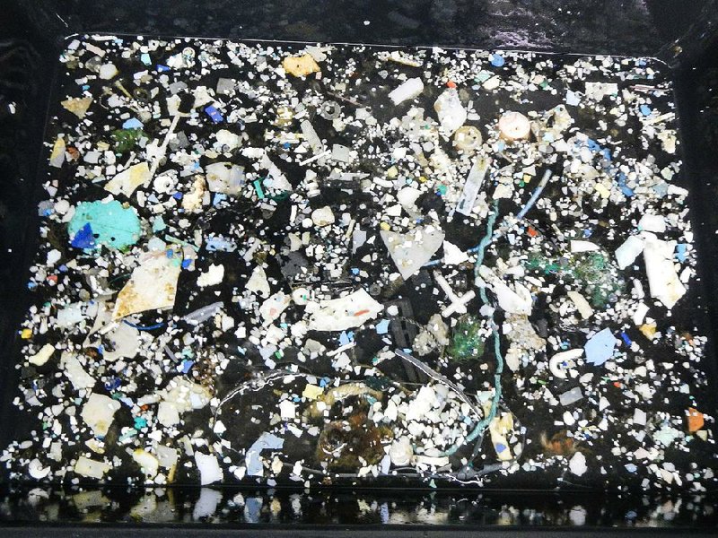 This image shows just a sampling of plastic debris in the Great Pacific Garbage Patch. 