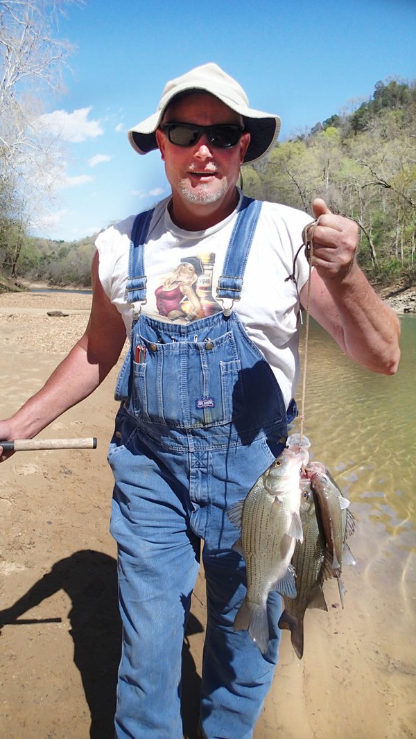 Beaver Lake's white bass ready to run  The Arkansas Democrat-Gazette -  Arkansas' Best News Source