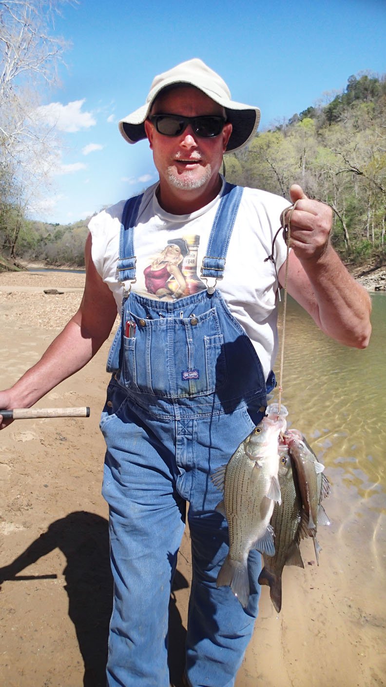 NWA Democrat-Gazette/FLIP PUTTHOFF This angler is putting together a nice stringer of white bass during the white bass run in 2016.