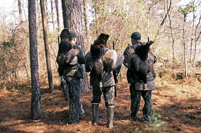 Hunting the wild turkey is an affliction that infects millions of American sportsmen, like these hunters in Mississippi.