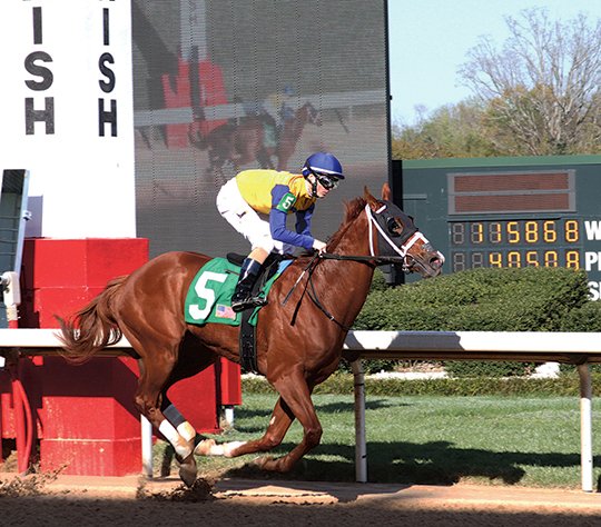 The Sentinel-Record/Rebekah Hedges COLORFUL FINISH: Jockey Channing Hill guides Hoonani Road across the wire to win the $100,000 Rainbow Stakes for 3-year-old Arkansas-bred colts and geldings Friday at Oaklawn Park before an estimated crowd of 7,000.