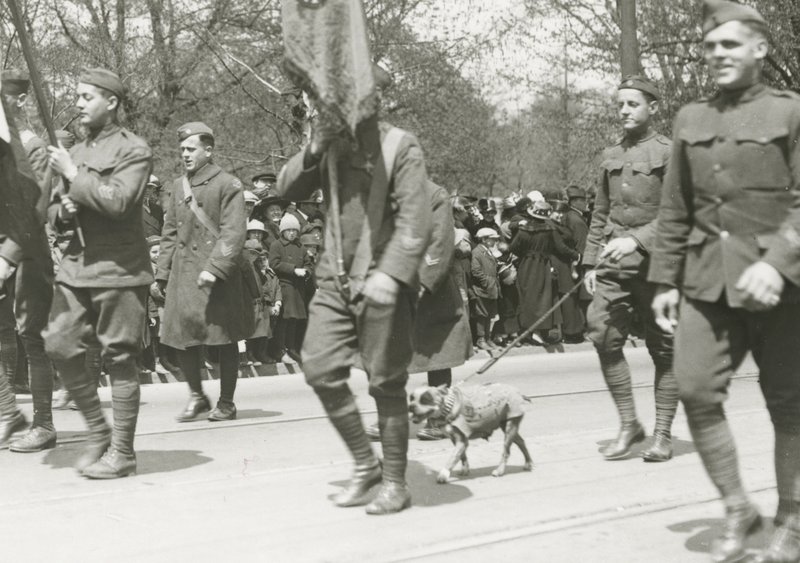 Movie puts famed war dog back in spotlight