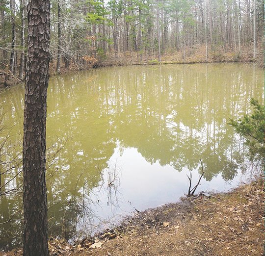 Hidden Pond Trail An easy way to enjoy the wonderful outdoors