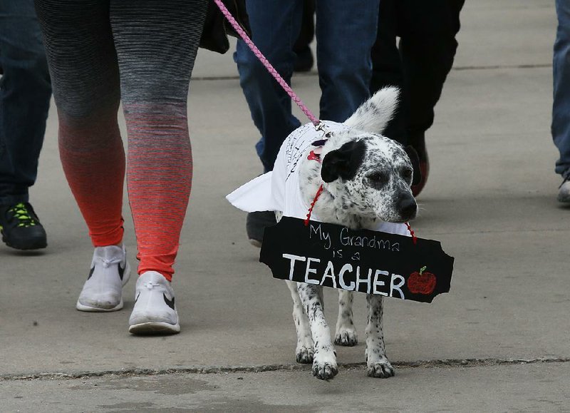 Luna marches with her owner, Carlin George, who was at the state Capitol in Oklahoma City on Thursday to support her mother and other teachers as protests over school funding continued. 
