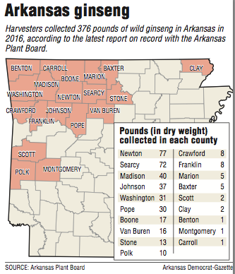 A map showing Arkansas counties that collected wild ginseng 