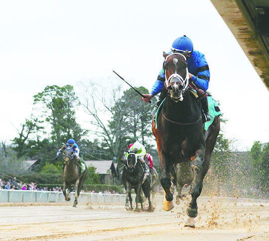 Oaklawn stakes winners go splish-splash