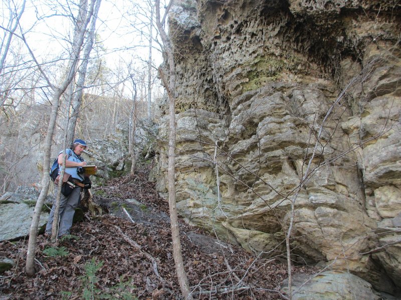 Angela Chandler, geologist supervisor with the Arkansas Geological Survey, marks locations of different rock types March 6 in an effort to update geological maps at Blanchard Springs and find a fault line.