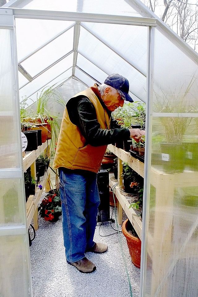 LYNN ATKINS THE WEEKLY VISTA A small greenhouse lets Master Gardener Tony LiCause get a head start on the season for both is flowers and vegetables.