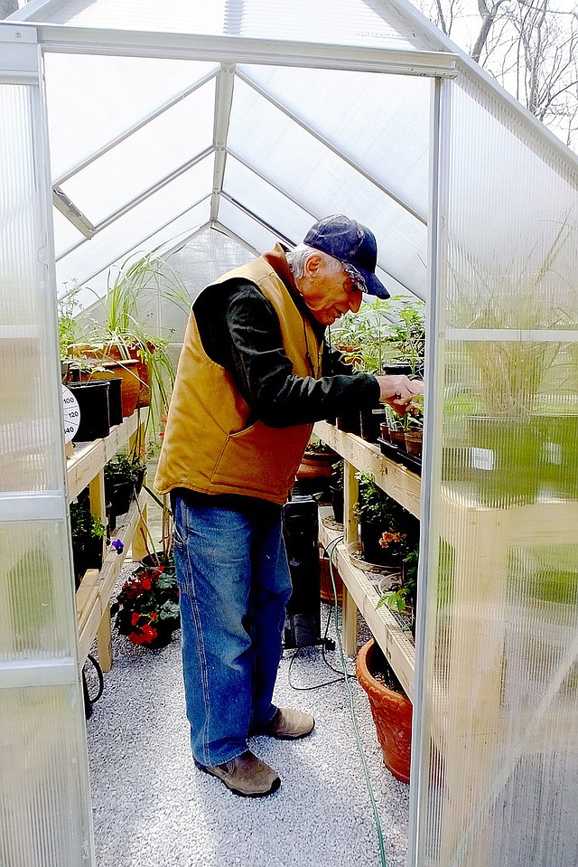 Lynn Atkins/The Weekly Vista A small greenhouse lets Tony LiCause get a head start on the season for both his flowers and his vegetables.