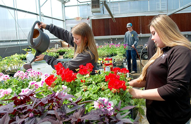 Janelle Jessen/Herald-Leader Plant science students Melanie Capehart, Dalton Greene and Haylee Snawder cared for plants in the high school greenhouse last week. FFA members and plant science students have been working hard and getting their hands dirty in the greenhouse to get hundreds of plants ready for the annual FFA plant sale. The sale will be held in the Siloam Springs High School Greenhouse on April 30 through May 4.