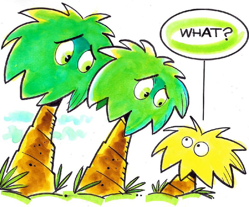 Arkansas Democrat-Gazette sago palms Illustration 