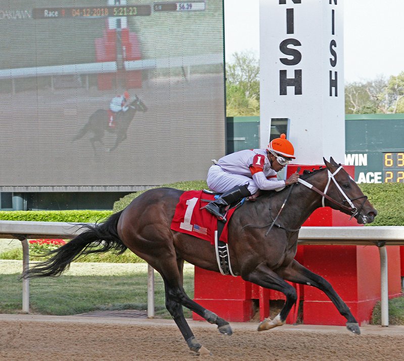 The Sentinel-Record/Rebekah Hedges CLEAR WINNER: Jockey Ricardo Santana Jr. guides Mitole across the finish to win the Bachelor Stakes at Oaklawn Park Thursday. The 3-year-old had a nine-length lead as he crossed the finish line.
