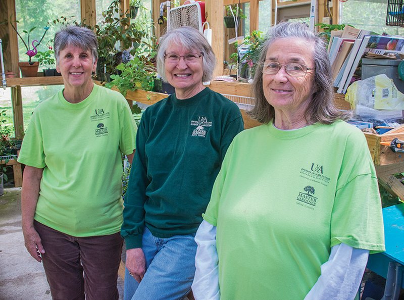 Getting ready for Saturday’s plant sale are, from left, Saline County Master Gardeners Joyce Spears and Sandy Morris, both of Avilla, and Sandy Rial of Benton. They have been propagating plants from seeds and raising them in a greenhouse for Saturday’s annual plant sale at the Saline County Fairgrounds.