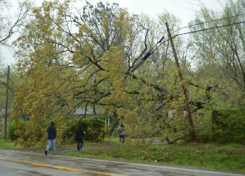 NWA Democrat-Gazette/ANDY SHUPE
Residents walk to a house in Mountainburg Friday, April 13, 2018, beneath a large tree that fell across a driveway after a tornado swept through the town.